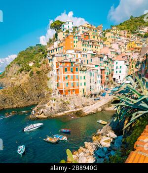 Blick auf Riomaggiore, eine der Cinque Terre in der Provinz Riomaggiore, Italien, fröhliches Picknick für junge Paare auf dem Berg mit Blick über den Ozean Stockfoto