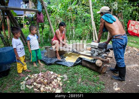 Ticuna-Stammfamilie, die eine Yuca-Gittermaschine in der Indianerreservat von Mocagua, Amazon, Kolumbien, Südamerika verwendet. Stockfoto