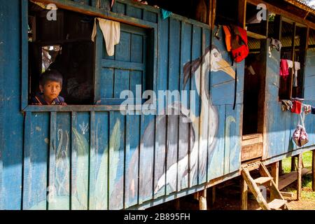 Exotische Gemälde an Häusern der Ticuna-Stammgemeinschaft, Mocagua, Amazonas-Regenwald, Kolumbien Südamerika. Stockfoto