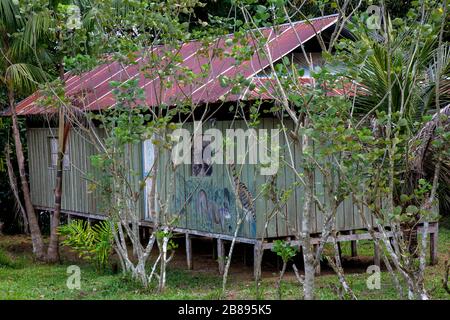 Exotische Gemälde an Häusern der Ticuna-Stammgemeinschaft, Mocagua, Amazonas-Regenwald, Kolumbien Südamerika. Stockfoto