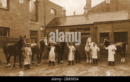 Huddersfield Industrial Society - ein frühes Foto des Stall Yard, der Pferde und des Personals der Gesellschaft Stockfoto