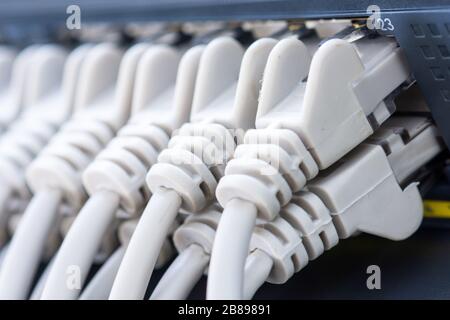 Ethernet-Kabel, die mit dem Netzwerk-Switch im Büro verbunden sind Stockfoto