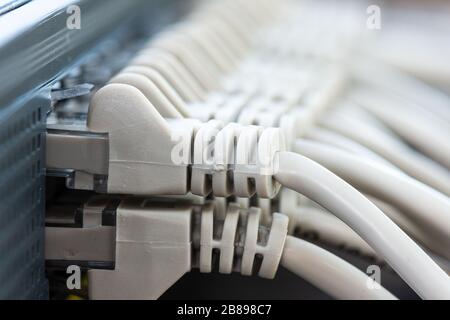 Ethernet-Kabel, die mit dem Netzwerk-Switch im Büro verbunden sind Stockfoto