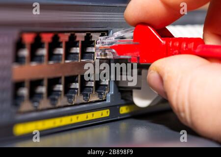 Ethernet-Kabel, die mit dem Netzwerk-Switch im Büro verbunden sind Stockfoto