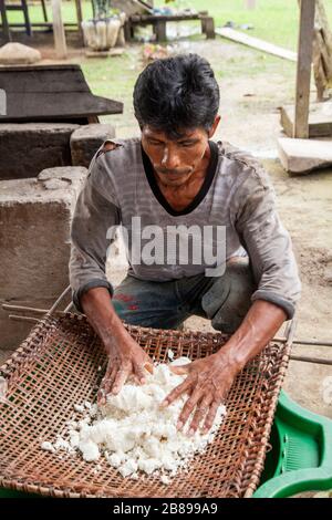 Yuca wird von Menschen in der indischen Gemeinschaft von Cacao Island, Amazon Rain Forest, Peru, Südamerika, gesiebt. Stockfoto