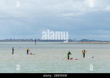 Paddle-Boarder in Chichester Harbor, West Sussex, England, Großbritannien Stockfoto