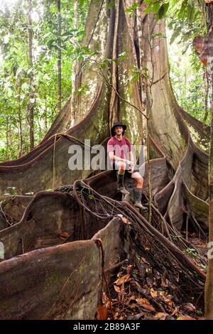 Der Junge sitzt auf den Buttress Wurzeln des riesigen Oje Baums im Amazonas-Regenwald und gibt ein Gefühl von Ausmaßung. Peru, Südamerika. Stockfoto