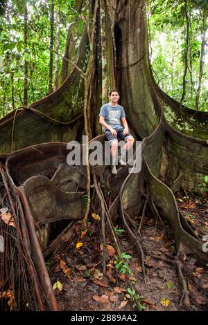 Der Junge sitzt auf den Buttress Wurzeln des riesigen Oje Baums im Amazonas-Regenwald und gibt ein Gefühl von Ausmaßung. Peru, Südamerika. Stockfoto