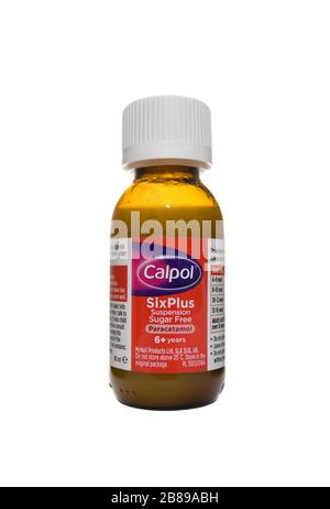 Calpol Sixplus Flasche auf isoliertem weißem Hintergrund Stockfoto