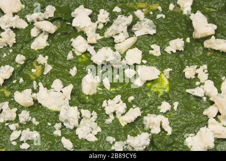 Spinat und schimmeliger Käse auf rohem Lasagna Pasta Closeup Stockfoto