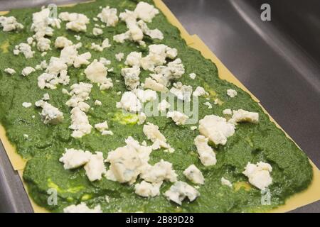 Spinat und schimmeliger Käse auf roher Lasagna Pasta in Backblech Stockfoto