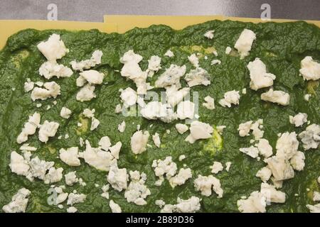 Spinat und schimmeliger Käse auf roher Lasagna Pasta in Backblech Stockfoto