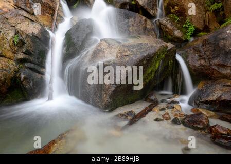 Wasser fließt über und zwischen Felsen im Bells Canyon in den Wasatch Mtns Stockfoto