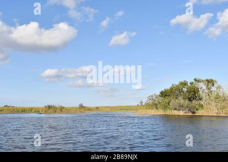 Everglades, Miami, Fl, Usa Stockfoto