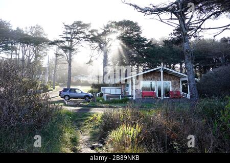 Ein Strandhaus an der Küste von Oregon befindet sich direkt nach der Morgendämmerung in Yachats, Oregon, unter Pinien und Eichen an der Küste. Stockfoto