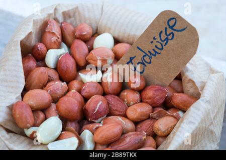 Erdnuss, Erdnuss (Arachis hypogäa), Erdnüsse aus Birdsamen, Deutschland Stockfoto