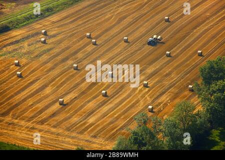 , Strohballen auf einem abgeernteten Maisfeld, 29.08.2008, Luftbild, Deutschland, Nordrhein-Westfalen, Ruhrgebiet, Hamm Stockfoto