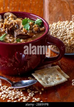 Ein Stillleben von Rind- und Gerstensuppe mit Pilzen, Cilantro und Sodaknackern in einem Keramiksuppenbecher Stockfoto