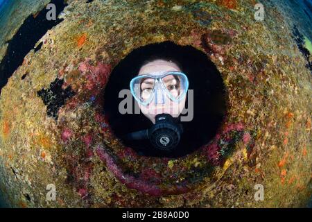 Unterwasseraufnahmen von Tauchgängen, Tauchern und Meereslebewesen beim Tauchen auf der Karibik rund um die Insel St. Maarten/St. Martin Stockfoto