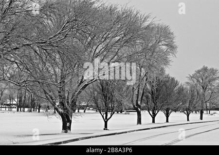 Texas Panhandle Snowfall, Canyon, Texas Stockfoto