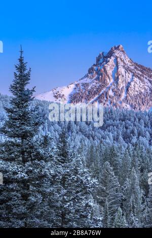 Erstes Licht auf ross Peak in der bridger Range im Winter in der Nähe von bozeman, montana Stockfoto