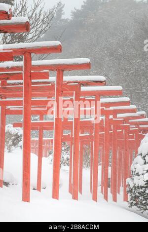 Takayama-Inari-Schrein Aomori Japan Stockfoto