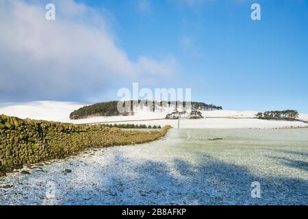 Trockene Steinmauer in der schneebedeckten schottischen Landschaft. Schottische Grenzen. Schottland Stockfoto