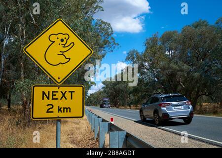 Das niedliche, am Straßenrand übliche gelbe Warnschild mit Rautenwarnungen für einen Koala-Bärenbereich. In Victoria, Australien. Stockfoto