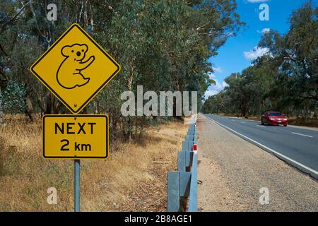 Das niedliche, am Straßenrand übliche gelbe Warnschild mit Rautenwarnungen für einen Koala-Bärenbereich. In Victoria, Australien. Stockfoto