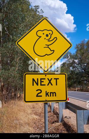 Das niedliche, am Straßenrand übliche gelbe Warnschild mit Rautenwarnungen für einen Koala-Bärenbereich. In Victoria, Australien. Stockfoto