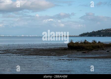 Die East Bay ist von Corte Madera, CA, sowie dem San Quentin State Prison und der Richmond-San Rafael Bridge aus zu sehen. Stockfoto