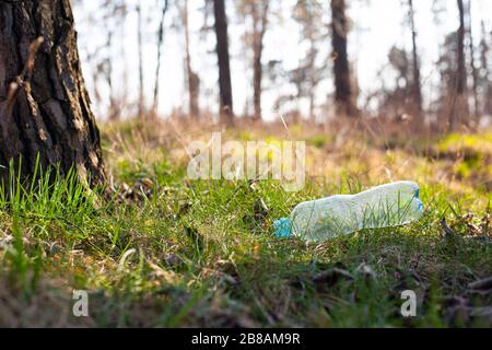Plastikflasche liegt auf dem Gras unter einem Baum im Wald in der Nähe von Sonnenstrahlen. Umweltverschmutzung, natürliche Umwelt, Biosphäre Stockfoto
