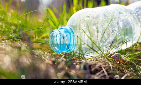 Plastikflasche liegt auf dem Gras unter einem Baum im Wald in der Nähe von Sonnenstrahlen. Umweltverschmutzung, natürliche Umwelt, Biosphäre Stockfoto