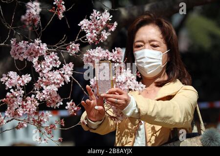 Tokio, Japan. März 2020. Die Angst vor dem Coronavirus hielt die Japaner nicht davon ab, an ihrer jährlichen Kirschblüte zu teilnehmen. Bewaffnet mit Gesichtsmasken stellte sich die Menschenmenge wie gewohnt heraus, um die blühenden Bäume im Tokioter Shinjuku Gyoen Nationalpark in Shinjuku in Japan zu fotografieren. Es gab Einschränkungen bei den üblichen organisierten Picknicks, und die Menschenmengen waren möglicherweise dünner als im letzten Jahr, aber das hat nicht dazu geführt, dass die Menschen die Blüte genossen und ein paar provisorische Picknicks aufstellten, wenn auch mit etwas mehr Abstand zwischen den Gruppen als sonst. Credit: Paul Brown/Alamy Live News Stockfoto