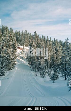 Schöne Landschaft einer Holzhütte in einem Wald mit Viele Bäume bedeckt mit Schnee in Norwegen Stockfoto