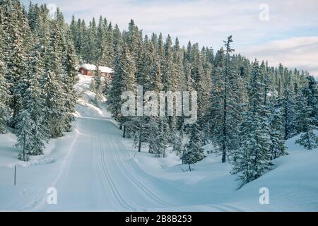 Schöne Landschaft einer Holzhütte in einem Wald mit Viele Bäume bedeckt mit Schnee in Norwegen Stockfoto