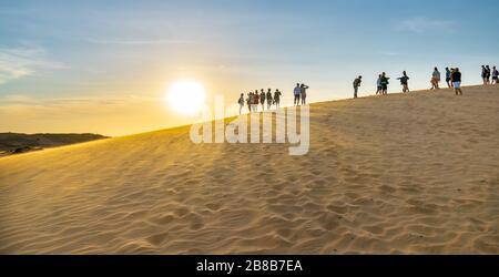 Ausländische Touristen erleben den hohen goldenen Sandhügel, um den Sonnenuntergang über der Wüste im Sommer in Mui Ne, Vietnam, zu beobachten Stockfoto