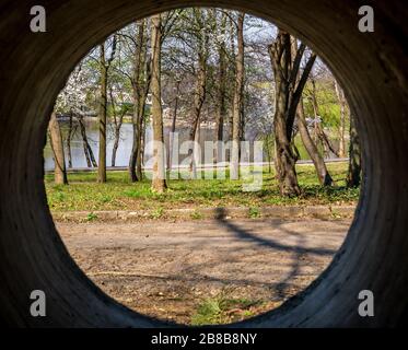 Park mit Baum und einem See, der durch ein Betonrohrloch gesehen wird. Herestrau-Park oder König Mihai Stockfoto