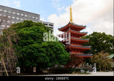 Schöner berühmter Tokoji-Tempel in Fukuoka Stockfoto