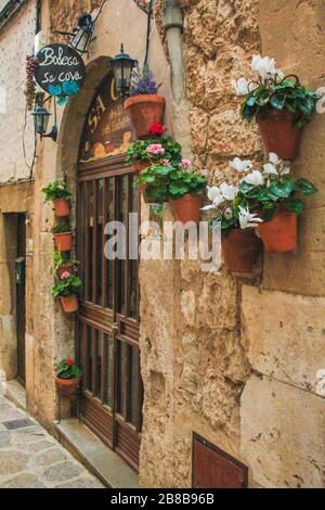 Hauseingang mit Blumentöpfen an der Wand in Valldemossa, Mallorca, Spanien Stockfoto