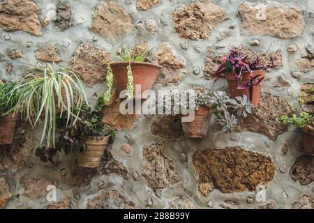 Hauseingang mit Blumentöpfen an der Wand in Valldemossa, Mallorca, Spanien Stockfoto