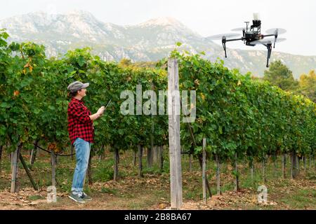 Frau Farmer kontrolliert die Drohnenspritze mit einer Tablette. Intelligente Landwirtschaft und präzise Landwirtschaft Stockfoto