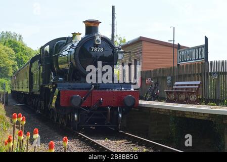 Dampflok der Klasse 7800 (Manor) 'Odney Manor', die auf dem Weg nach Minehead, England, Großbritannien, am Bahnhof Stogumber der West Somerset Railway ankam Stockfoto