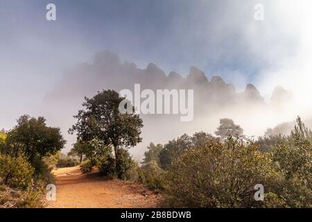 Nebelwald im Naturpark Montserrat, Barcelona, Spanien Stockfoto