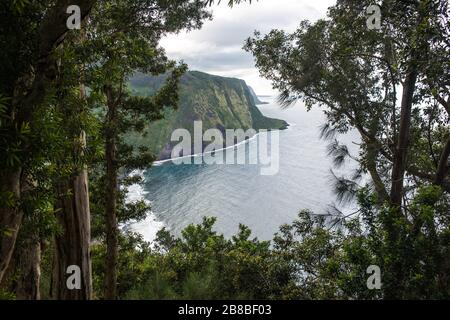 Waipio Valley Lookout auf Big Island, Hawaii Stockfoto