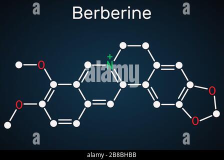 Berberin C20H18NO4, pflanzliches alkaloidisches Molekül. Strukturelle chemische Formel auf dem dunkelblauen Hintergrund. Abbildung Stockfoto