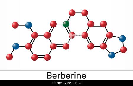 Berberin C20H18NO4, pflanzliches alkaloidisches Molekül. Molekularmodell. Abbildung Stockfoto