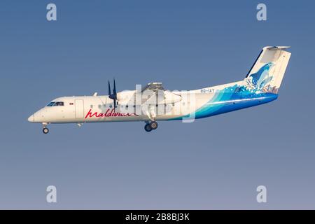 Männlich, Malediven - 18. Februar 2018: Maledivisches Bombardier DHC-8-300 Flugzeug auf dem Malediven Flughafen (MLE). Stockfoto