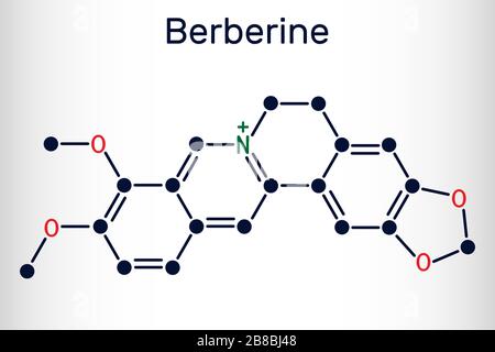 Berberin C20H18NO4, pflanzliches alkaloidisches Molekül. Strukturelle chemische Formel. Vektorgrafiken Stock Vektor