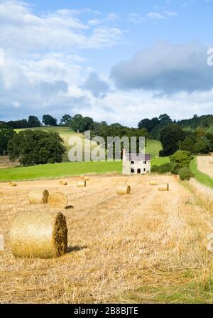 Heuballen, kreisrunde Strohrollen, auf einem Feld in Shropshire, Großbritannien Stockfoto